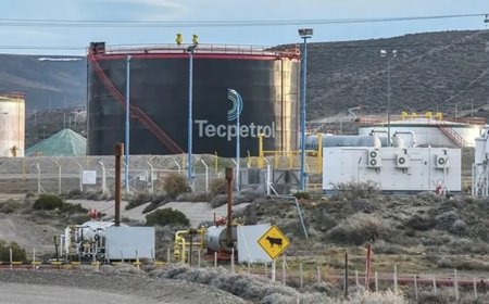 Tecpetrol se retira de Chubut y transfiere activos a la canadiense Crown Point