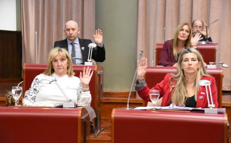 Torres destacó la aprobación de la ley que exime del Impuesto de Sellos a la constitución y capitalización de empresas en Chubut