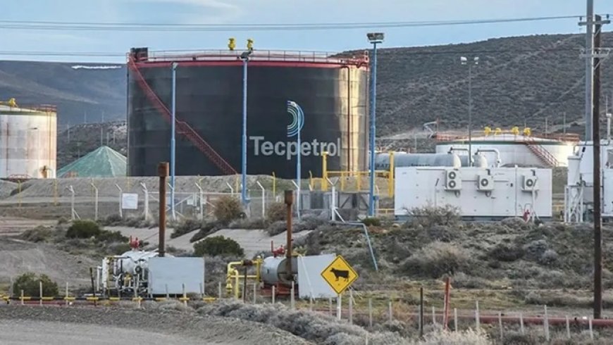 Tecpetrol se retira de Chubut y transfiere activos a la canadiense Crown Point