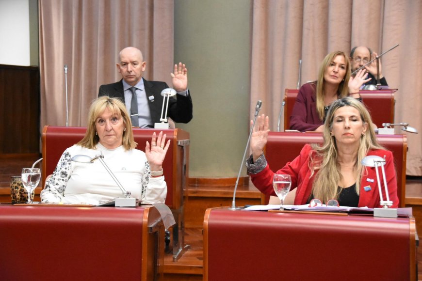 Torres destacó la aprobación de la ley que exime del Impuesto de Sellos a la constitución y capitalización de empresas en Chubut