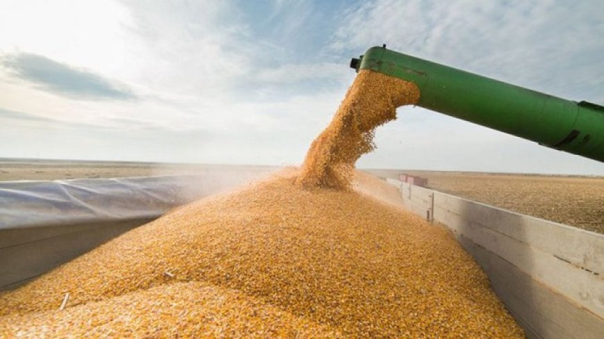 Tensión geopolítica impulsa al petróleo, pero los granos cierran en baja en Chicago