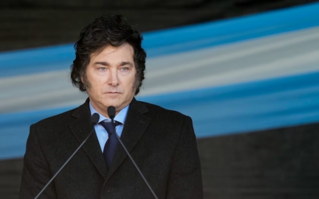 Milei amenaza con vetos, pero especialistas descartan judicialización  