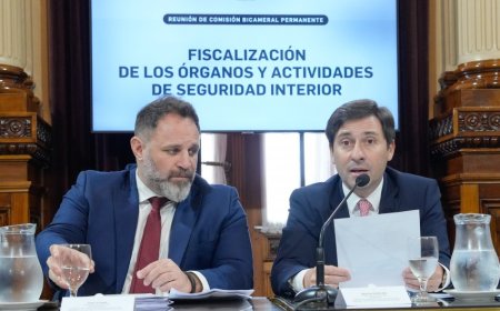 Funcionarios de Bullrich defendieron la reforma de la Policía en el Congreso y enfrentaron duras críticas