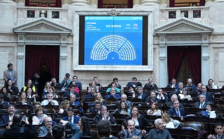 Diputados: fuerte aval opositor al presupuesto universitario, Milei queda cerca de un nuevo veto