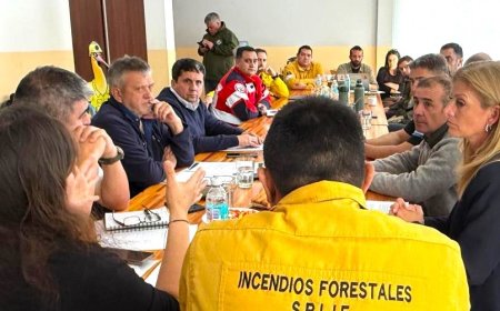 El Gobierno del Chubut conforma un plan preventivo contra incendios forestales en conjunto con Río Negro y Neuquén
