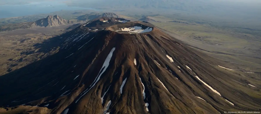 Otro volcán entra en erupción tras sismo en Rusia: Krasheninnikov activa alertas en Kamchatka
