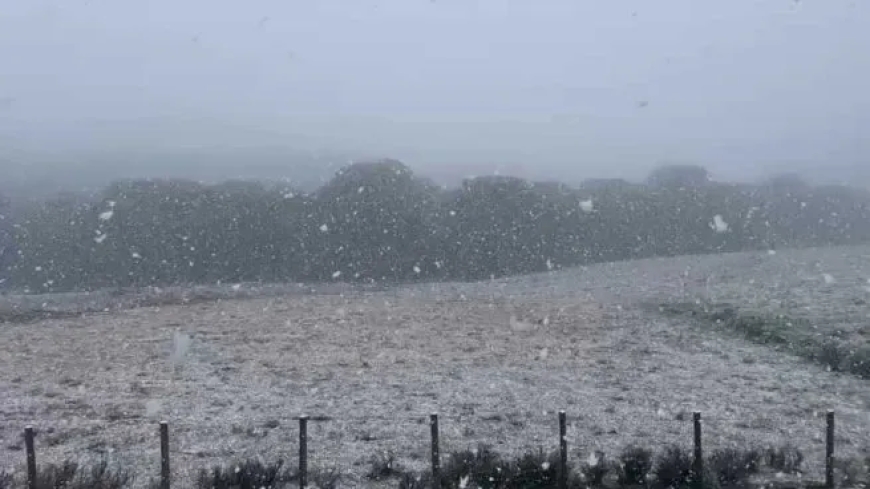 Ola polar en Brasil: ciudades del sur bajo nieve y récord de temperaturas bajo cero