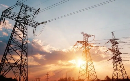 El Gobierno redefinió el mercado eléctrico: fin de subsidios y vuelta a precios reales