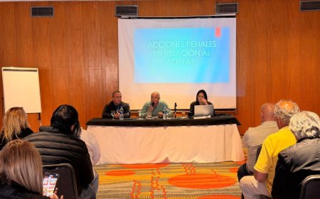 Tras más de dos años de intervención, el Soyeap vuelve a manos chubutenses con la conducción de Carlos Constante