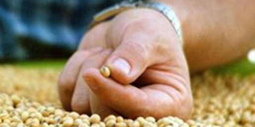 Tensión geopolítica impulsa soja y granos: clima y negociaciones marcan la agenda global