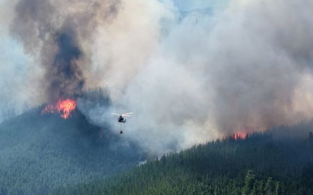 Torres supervisó en terreno el operativo contra el incendio en Puerto Patriada