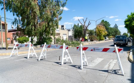 Rawson: comenzó la primera etapa de remodelación integral del boulevard San Martín