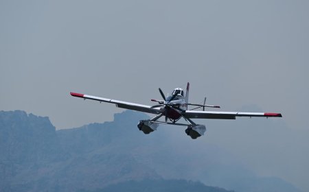 Incendio en el Parque Nacional: bomberos chilenos se suman a más de 500 brigadistas en Chubut