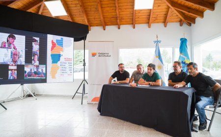 Gobernadores patagónicos piden Emergencia Ígnea al Congreso