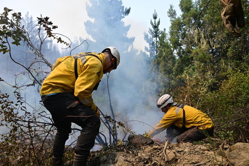 Despliegue total en Puerto Patriada: casi 500 personas y ocho medios aéreos combaten el incendio forestal