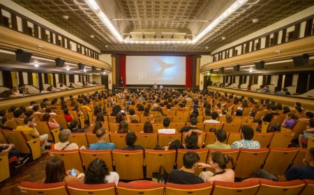 El Municipio presenta en Puerto Madryn el documental “SEI, la ballena desconocida”