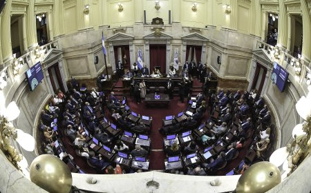 Reforma electoral: el Gobierno avanza en el Senado con la eliminación de las PASO y enfrenta resistencias en bloques clave