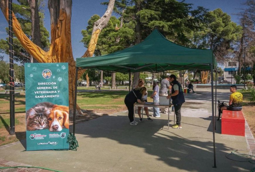 LA MUNICIPALIDAD DE RAWSON REALIZARÁ CAMPAÑA DE VACUNACIÓN POR EL DÍA DEL ANIMAL