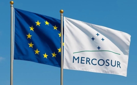 El acuerdo UE-Mercosur entra en vigencia provisoria y abre una pulseada productiva para Argentina