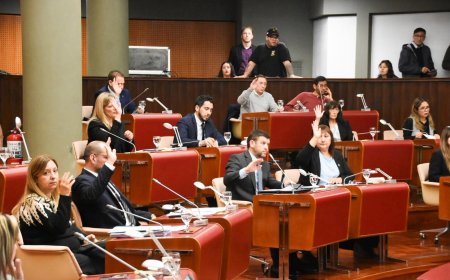 Chubut: la Legislatura avaló la continuidad del Comando Unificado contra el delito