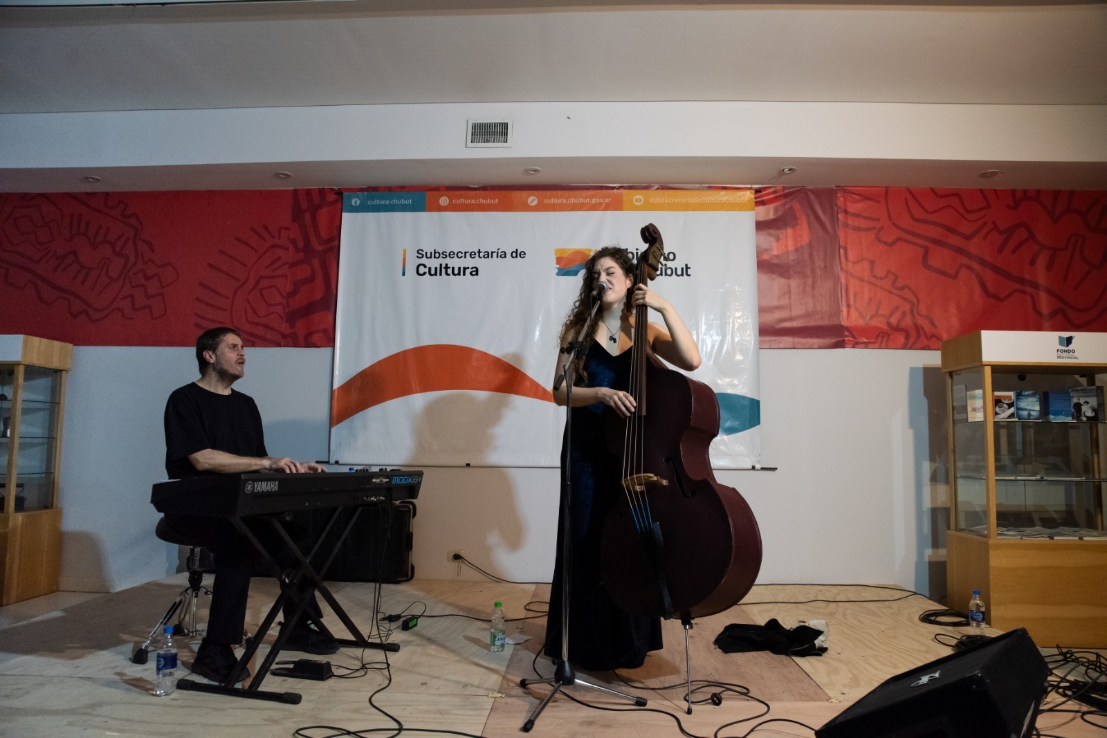 A sala llena, el Centro Cultural Provincial presentó a destacados referentes de la música argentina contemporánea