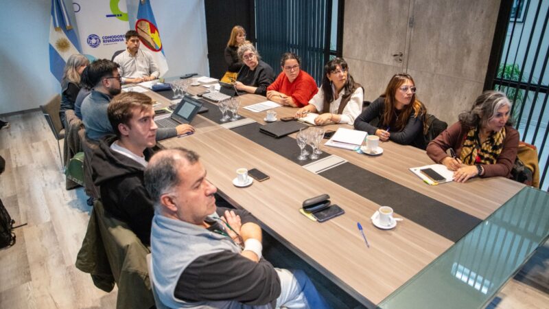 La Comisión de Emergencia avanza en herramientas para definir beneficios a familias afectadas por el desplazamiento del Cerro Hermitte