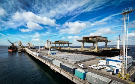 Récord: Chubut se ubica en el podio nacional de las provincias con mayor volumen de exportaciones por habitante